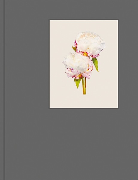 The photobook The Most Beautiful Flowers by Kenji Toma homage to one of the  most well regarded flower encyclopedias of the 19th century. - Kehrer Verlag